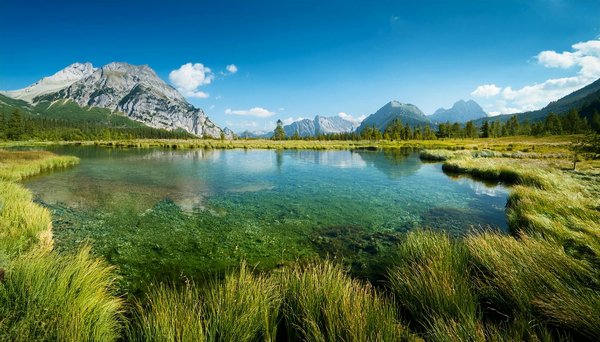 Voyages Culturels : Plongez dans les Traditions Musicales et Dansantes